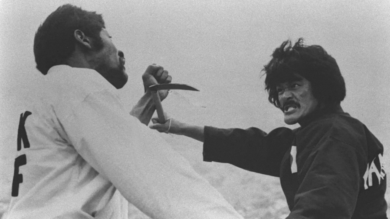 Za karate 3: Denkô sekka постер
