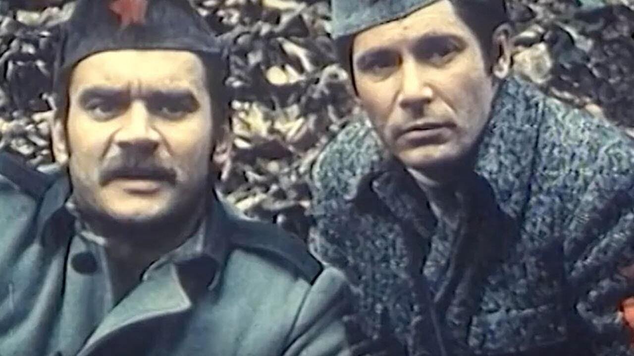 На горе растет зеленая сосна постер