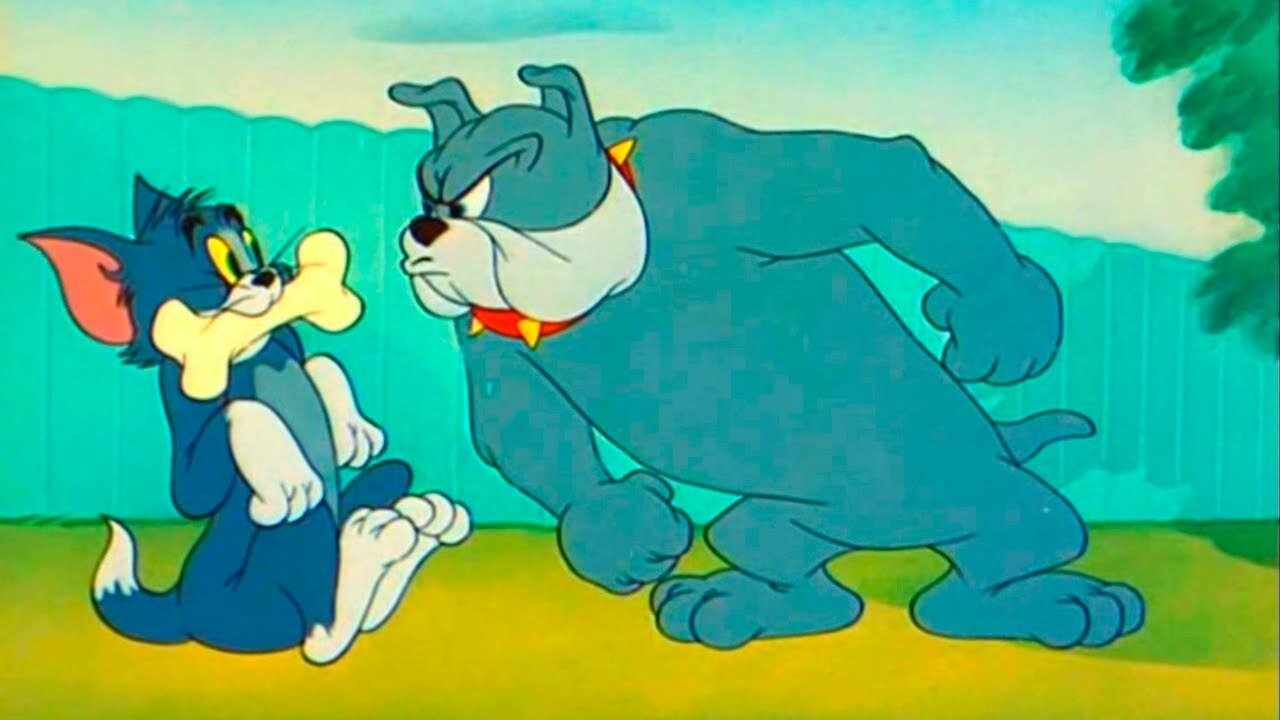Любимая косточка постер