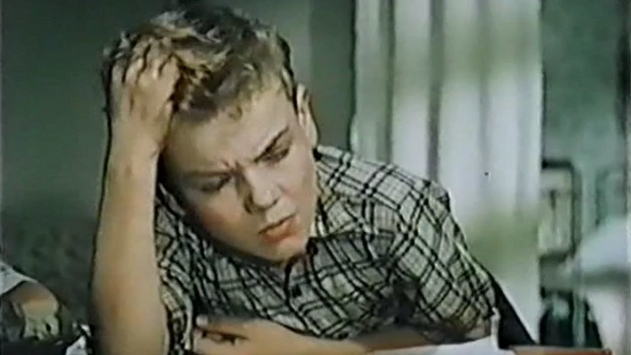 Дым в лесу постер