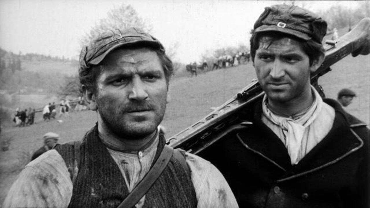 Козара постер