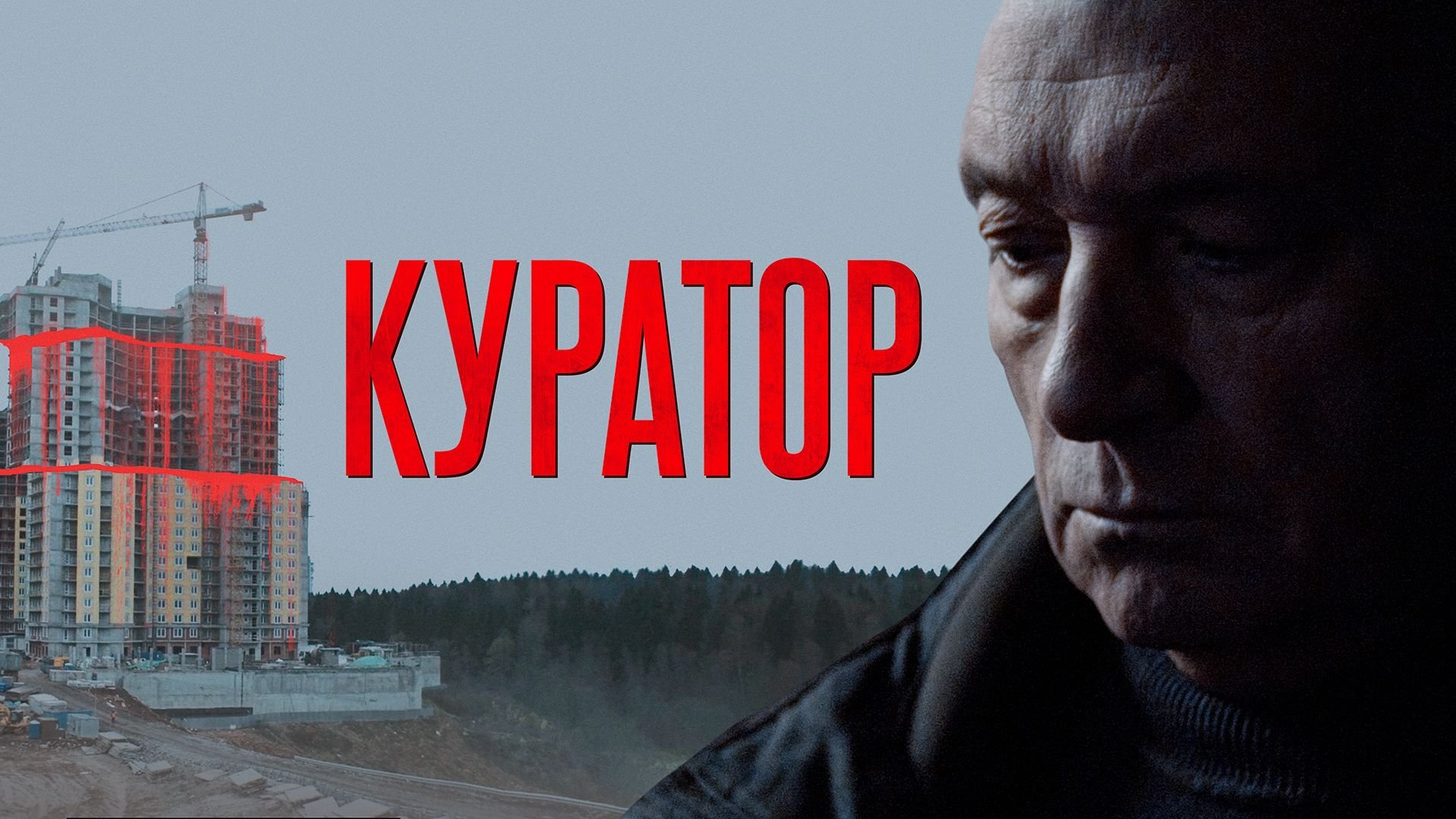 Куратор постер