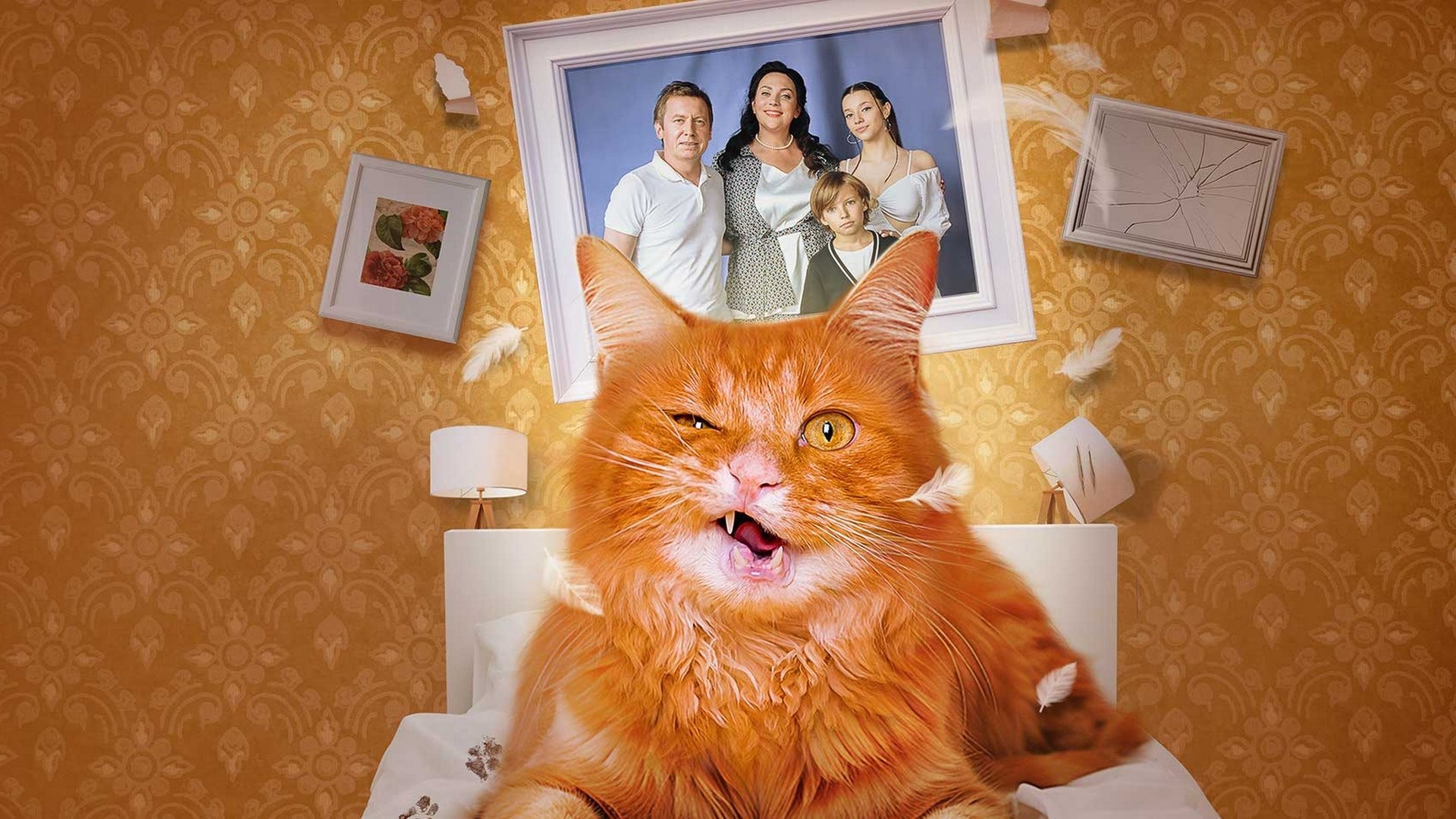 Котострофа постер