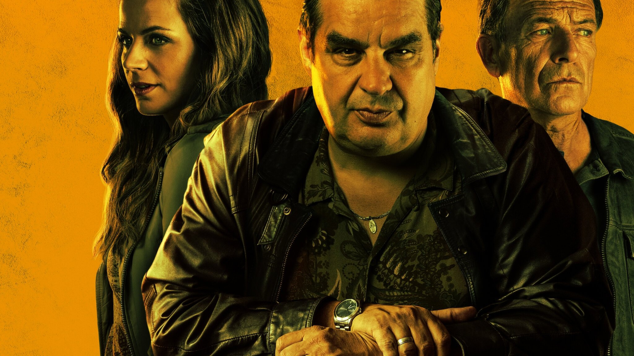 Ферри: Сериал постер