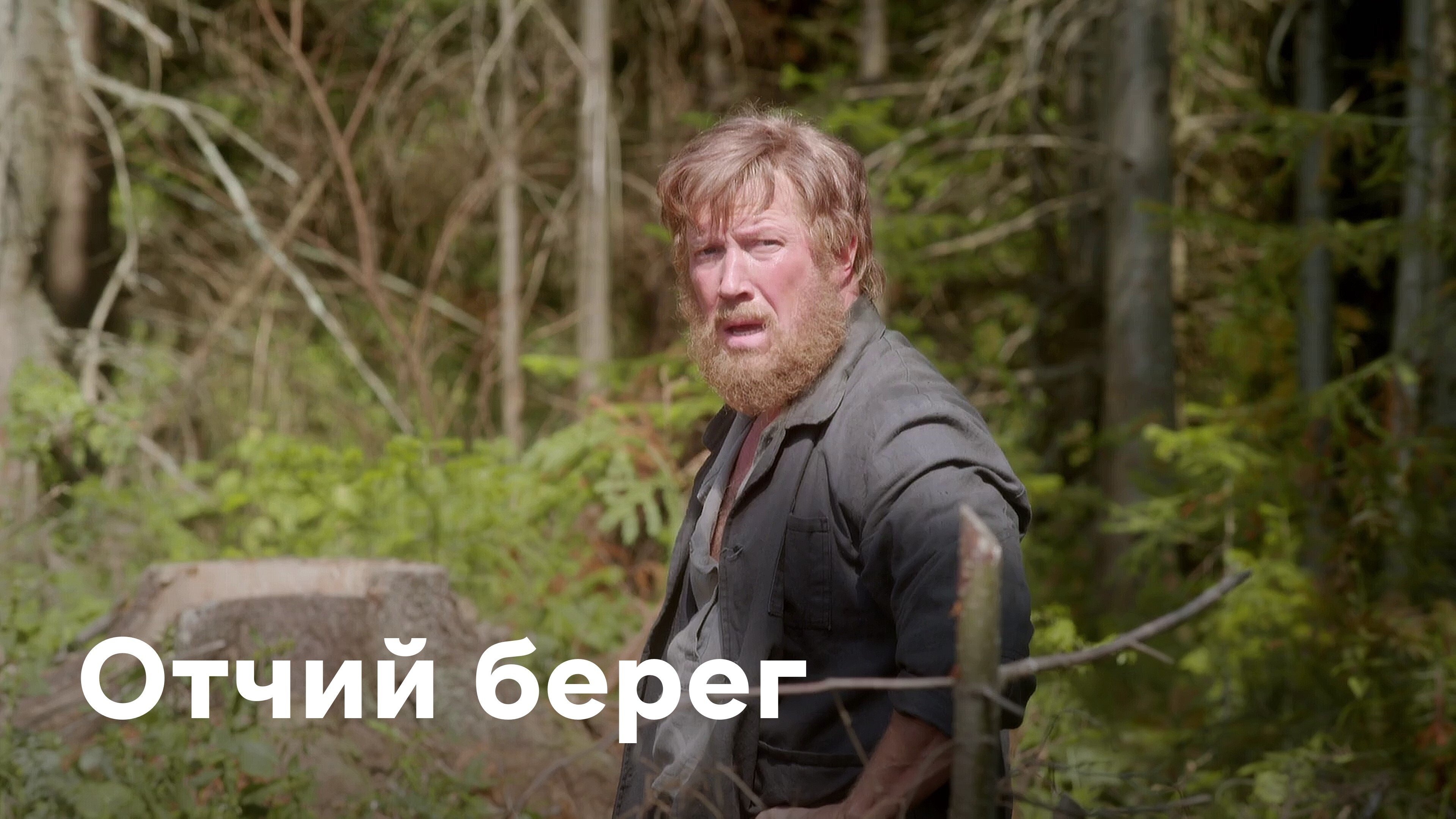 Отчий берег постер