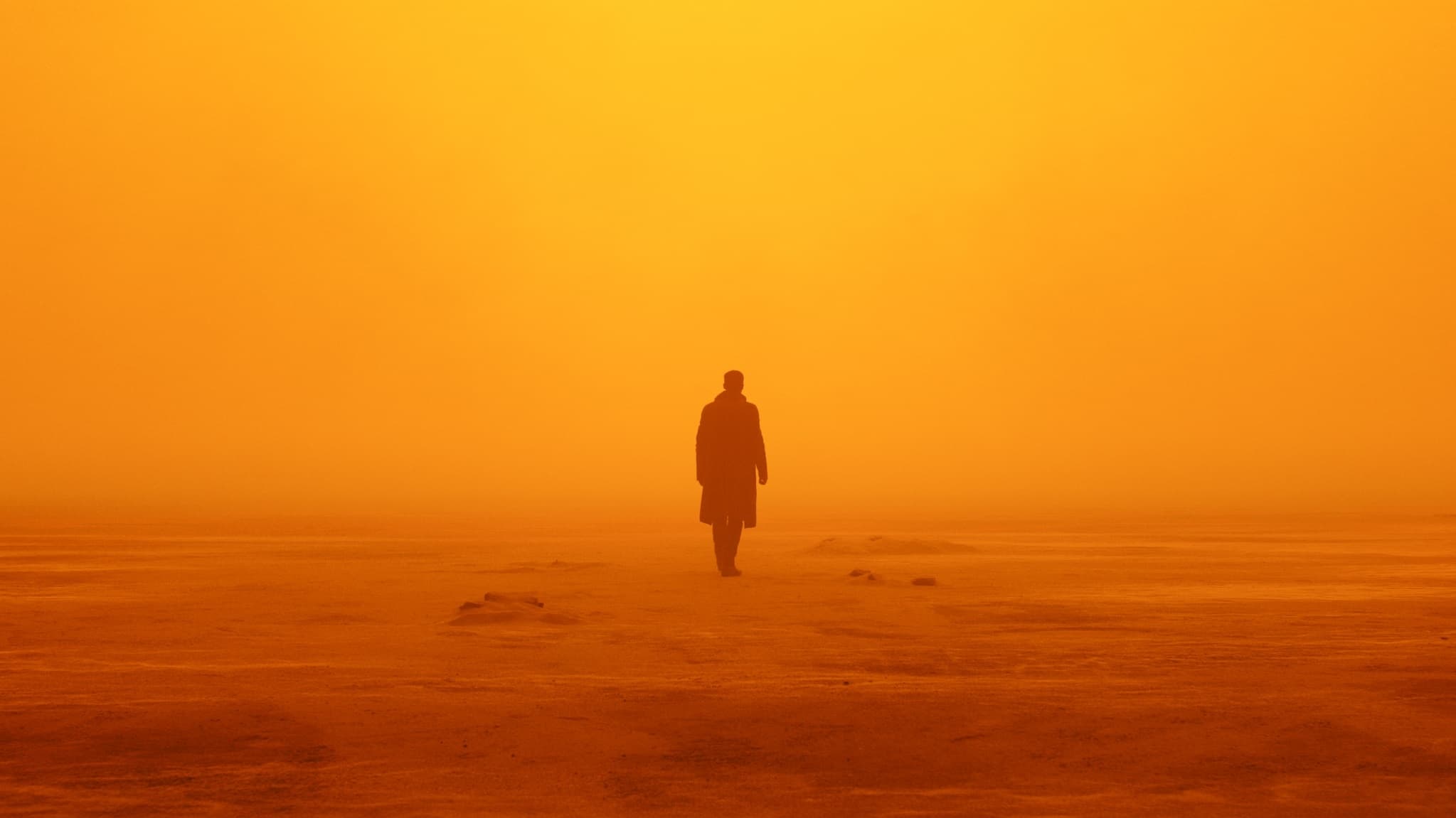 Бегущий по лезвию 2049 постер