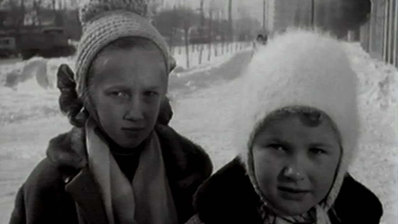 Дай лапу, Друг постер
