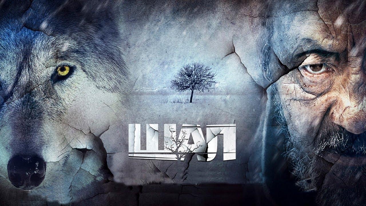 Старик / Шал постер
