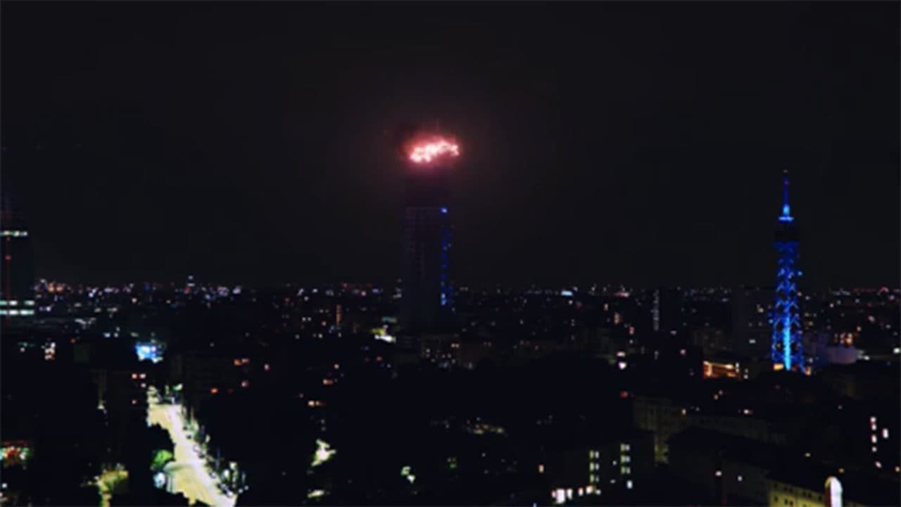 Талант шмеля постер