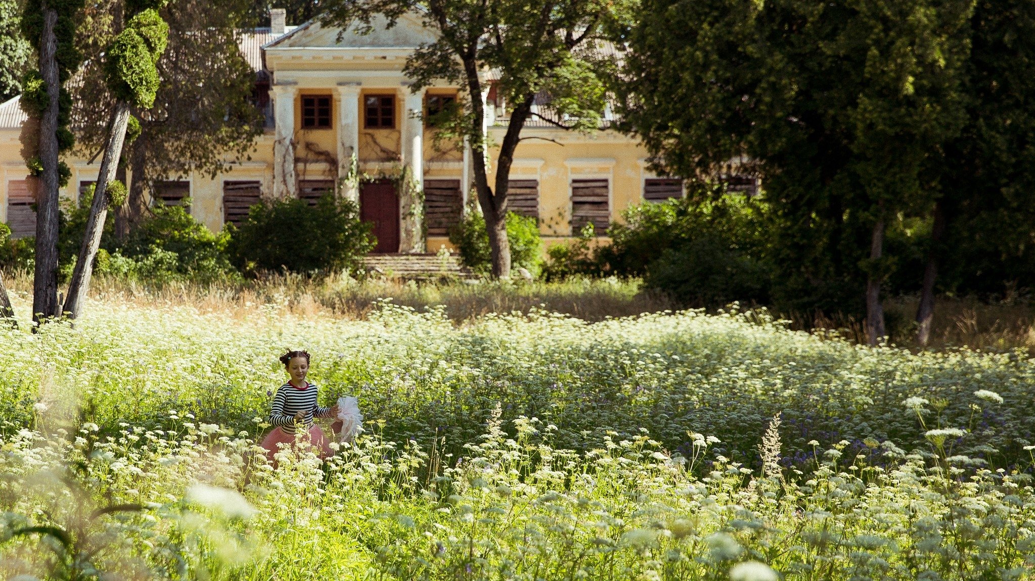 Сердце мотылька постер