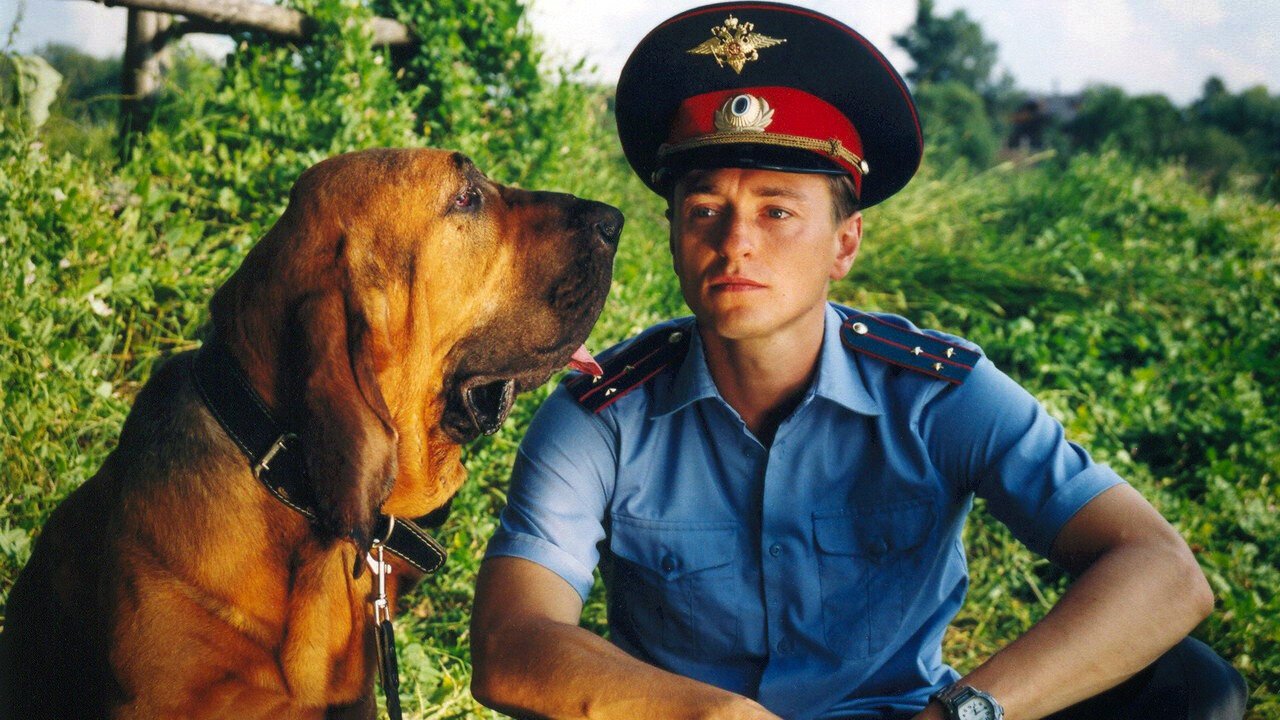 Участок постер