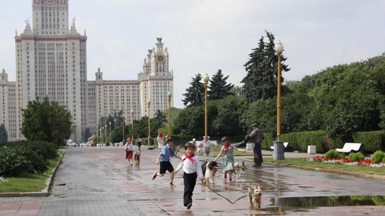 Собачий рай постер