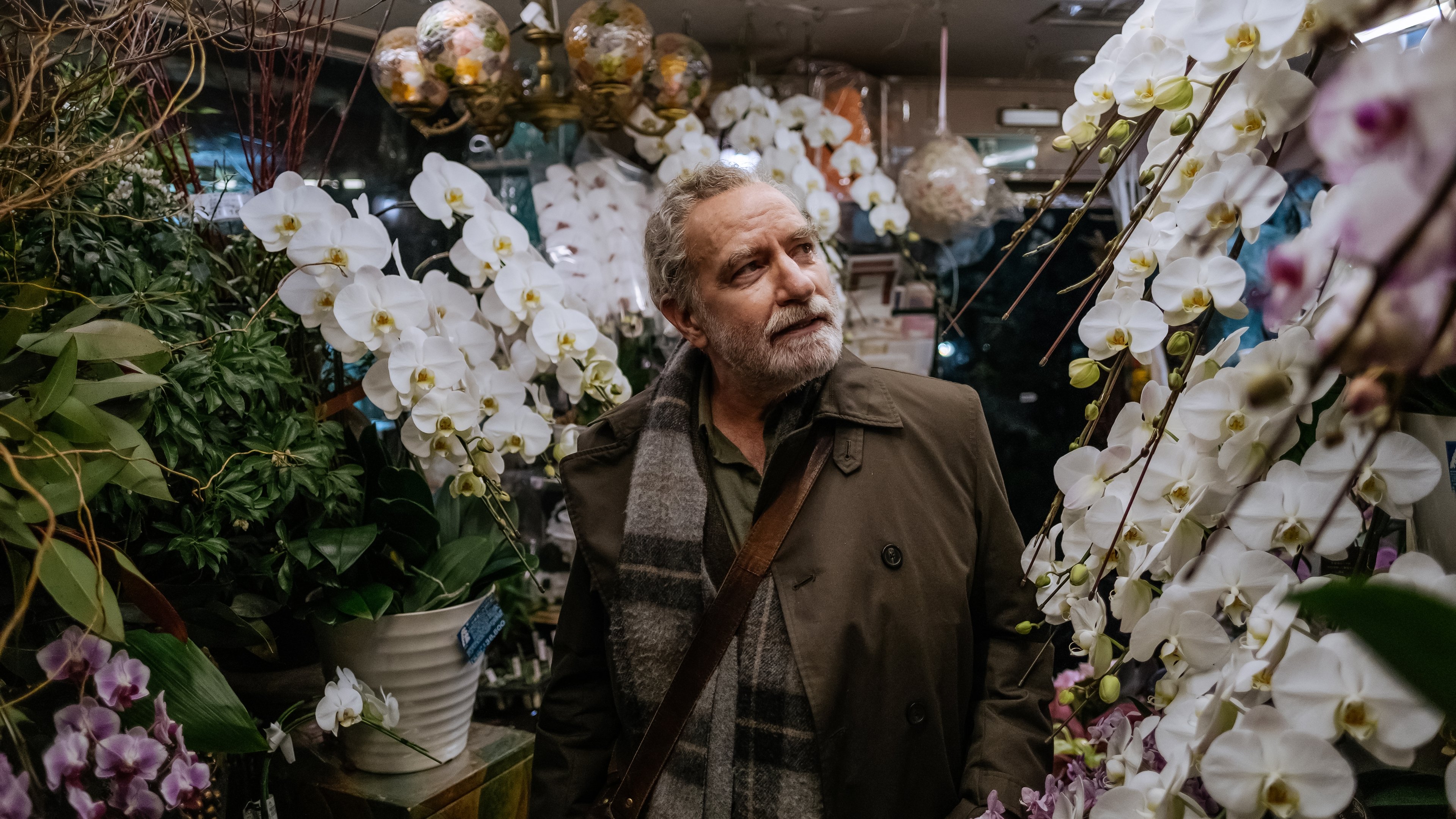 Прикосновение постер
