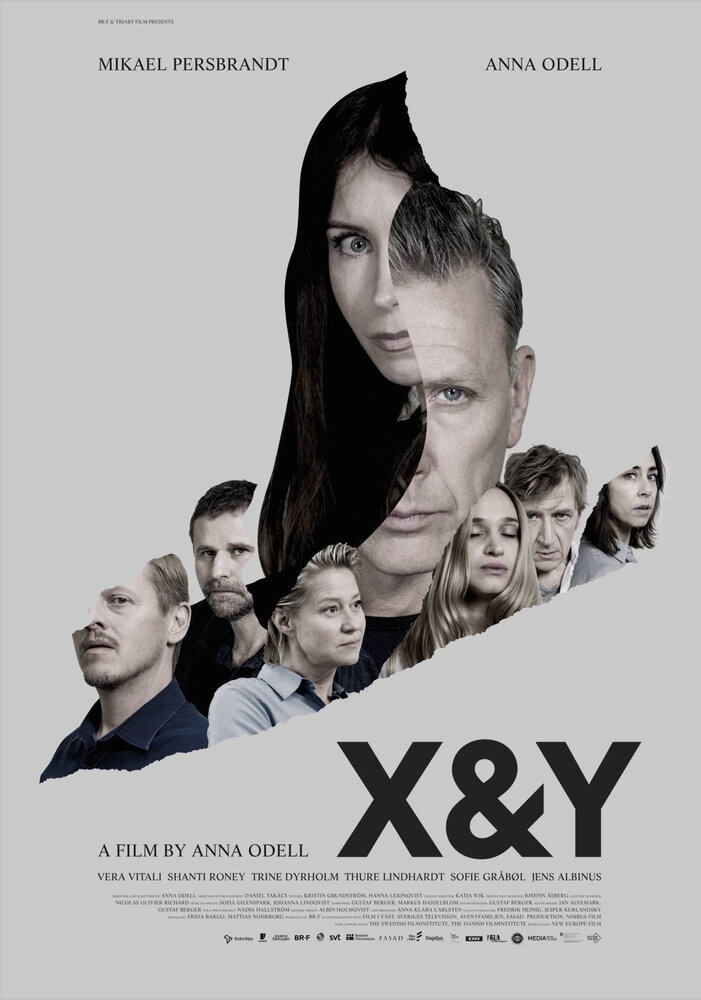 X и Y постер