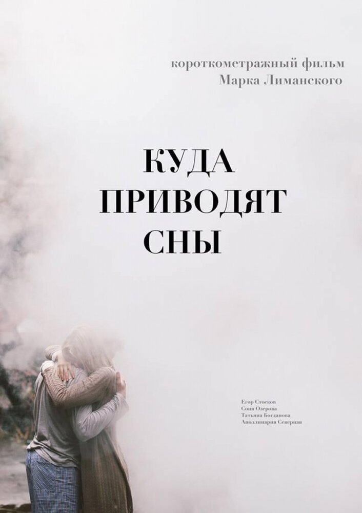 Куда приводят сны постер