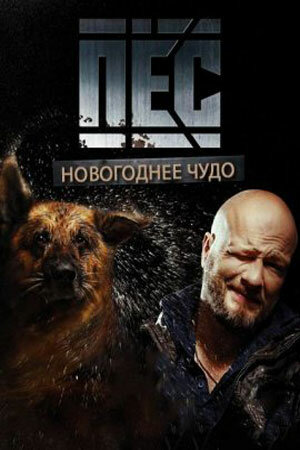 Новогодний пёс постер