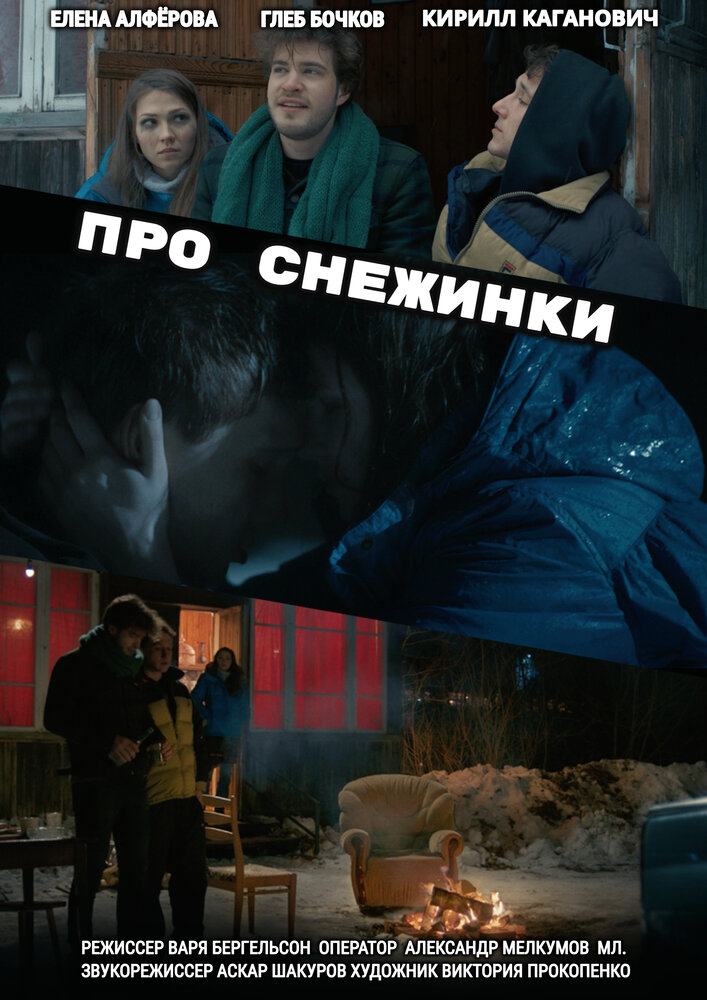 Про снежинки постер