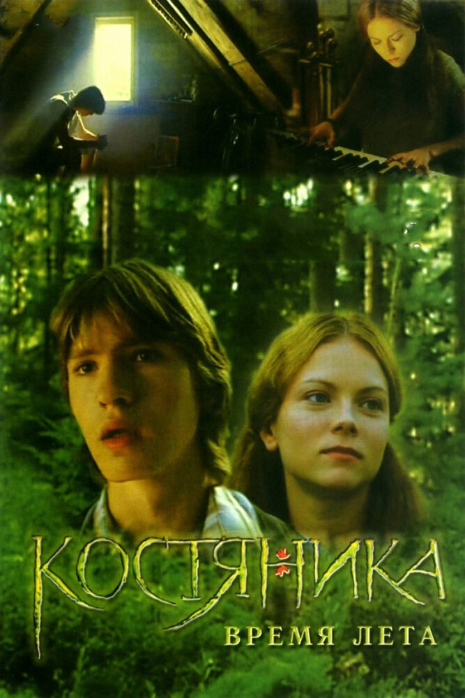 КостяНика. Время лета постер