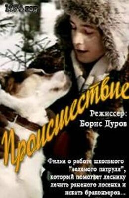 Происшествие постер