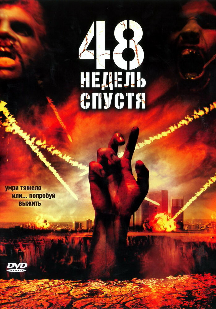 48 недель спустя постер