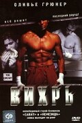 Вихрь постер