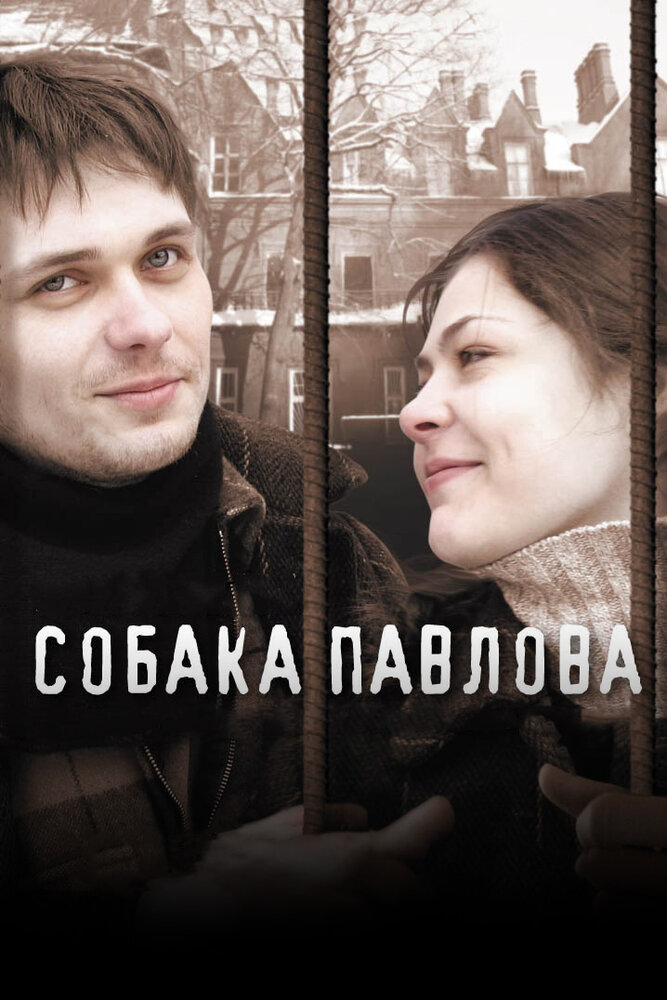 Собака Павлова постер