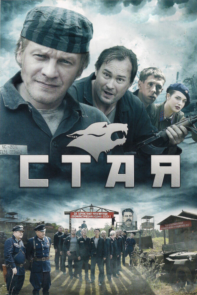 Стая постер