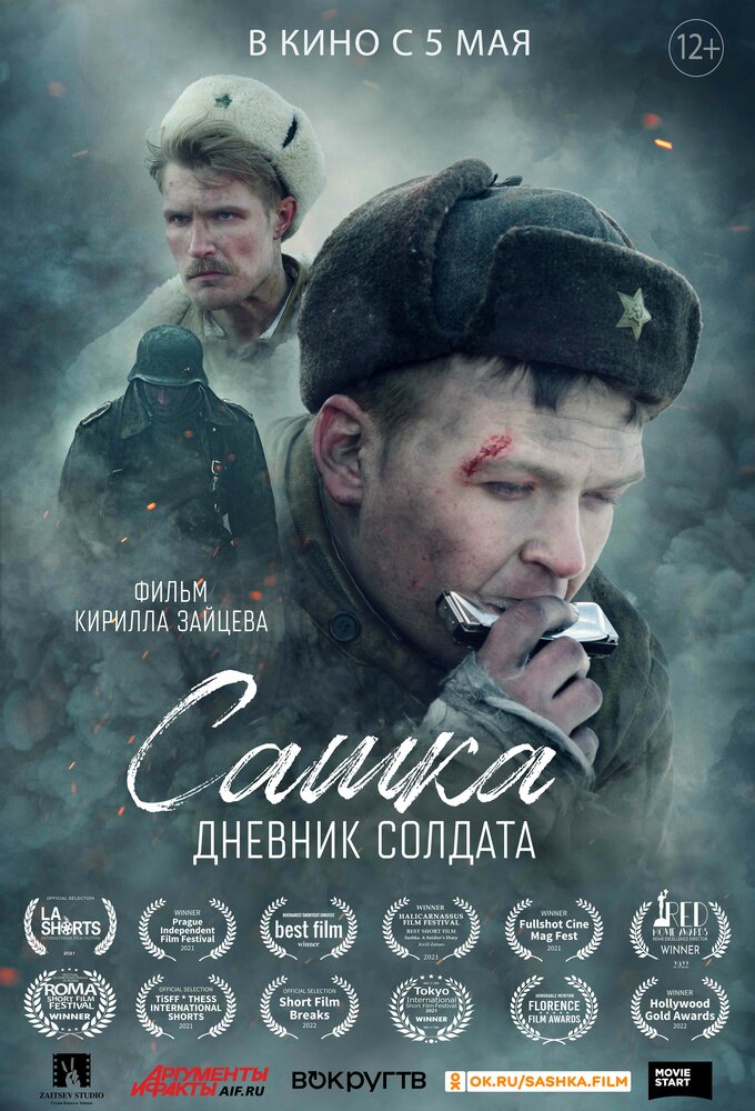 Сашка. Дневник солдата постер