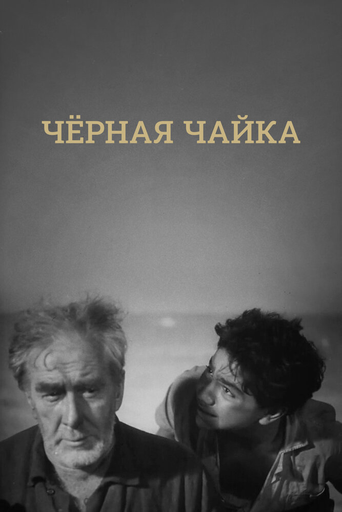 Черная чайка постер