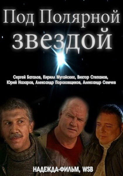 Под Полярной звездой постер