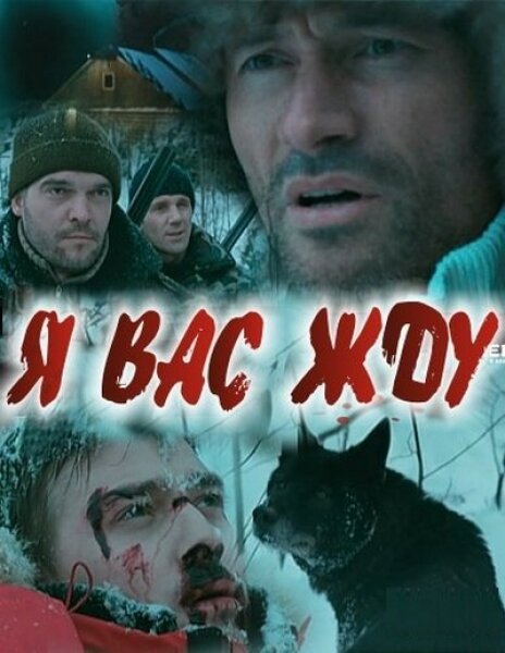 Я вас жду... постер