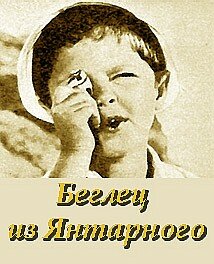 Беглец из «Янтарного» постер