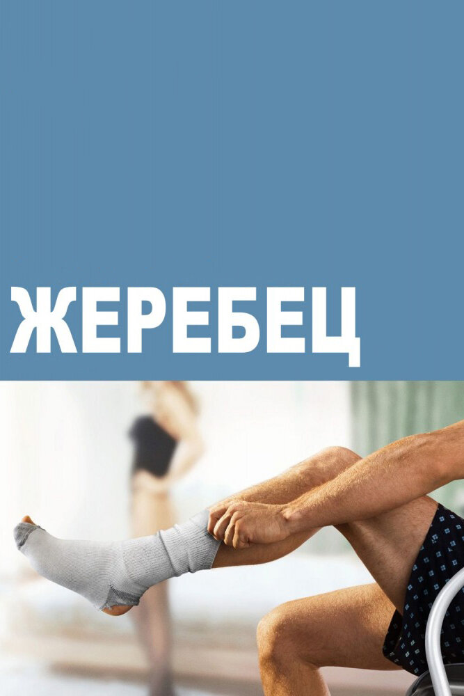 Жеребец постер