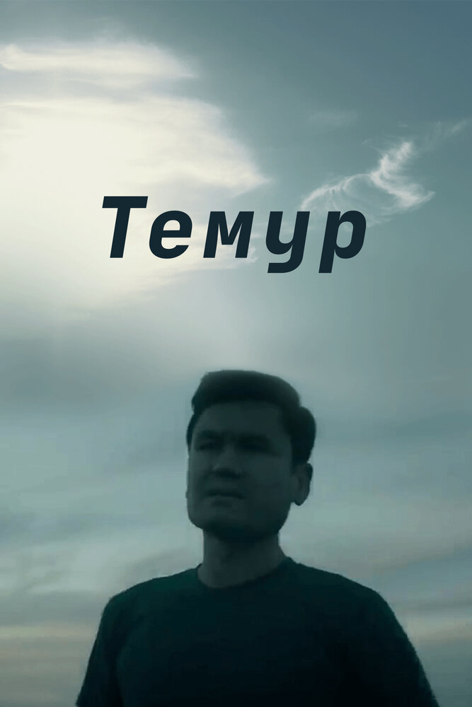 Темур постер