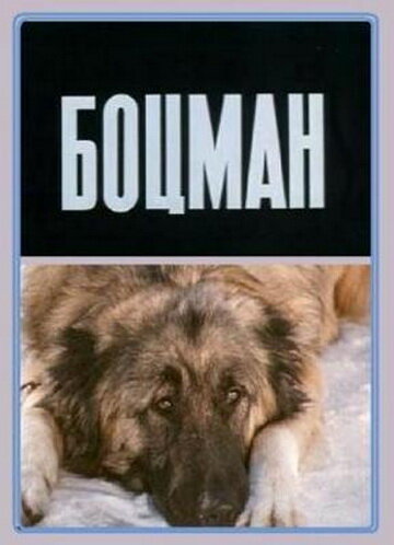 Боцман постер