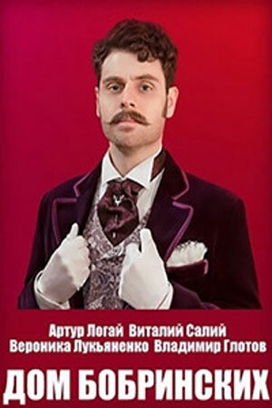 Дом Бобринских постер