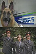 Возвращение Мухтара 5 постер
