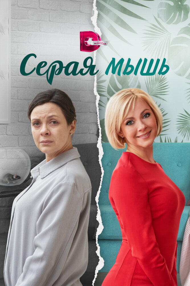 Серая мышь постер