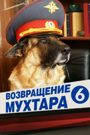 Возвращение Мухтара 6 постер