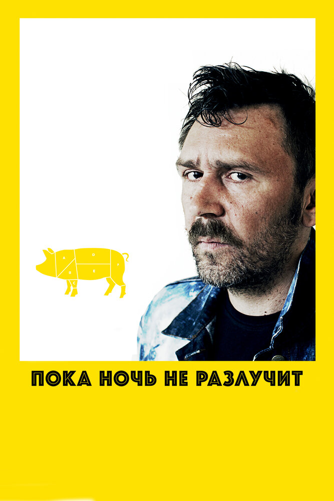 Пока ночь не разлучит постер