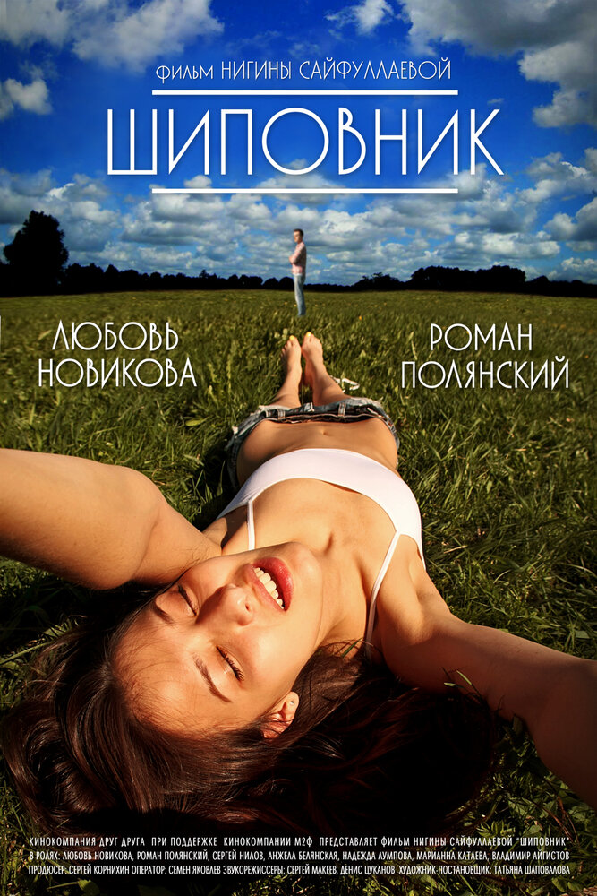 Шиповник постер