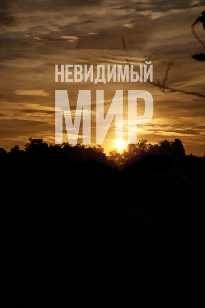 Невидимый мир постер