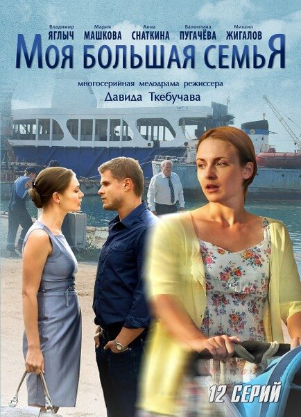 Моя большая семья постер