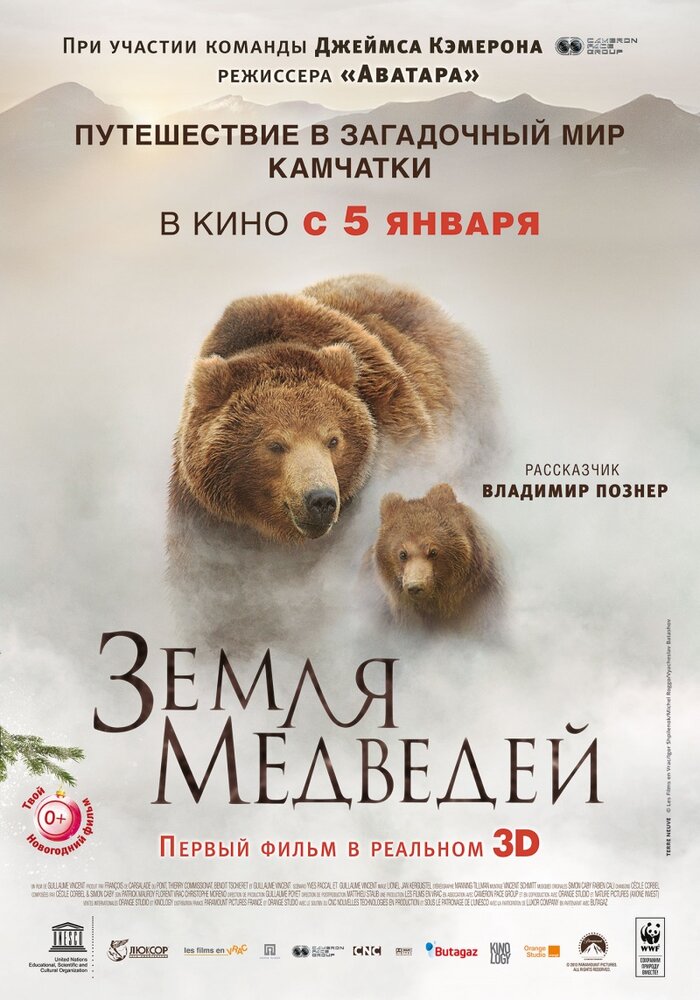 Земля медведей постер