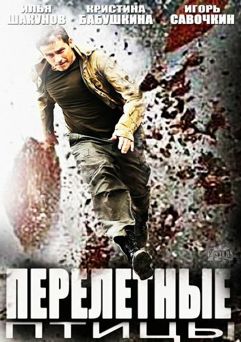 Перелётные птицы постер